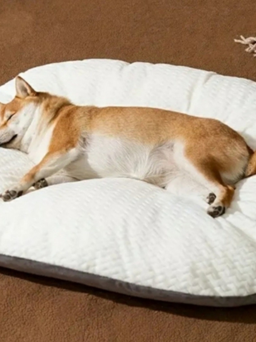 NWT- Plush Medium White & Gray Dog Bed - Cozy Pet Cushion